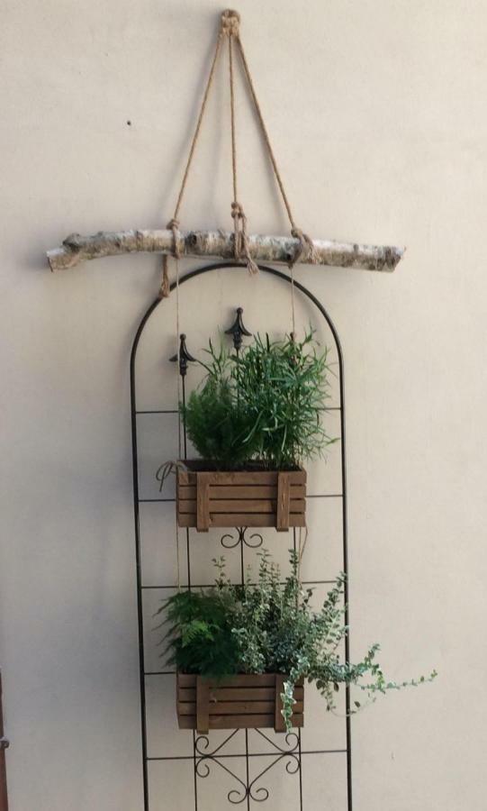 San Pierino Charming Rooms Lucca Bagian luar foto